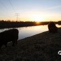 IMG_736888
