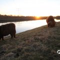 IMG_736892