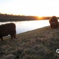 IMG_736893