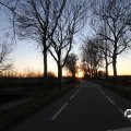 IMG_736903