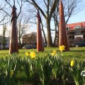 IMG_737676