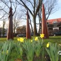 IMG_737679