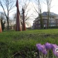 IMG_737687