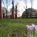 IMG_737689