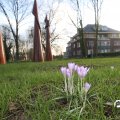IMG_737690