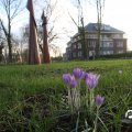 IMG_737695