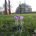 IMG_737696