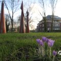 IMG_737697
