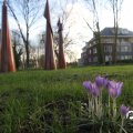 IMG_737698