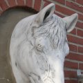 IMG_737521