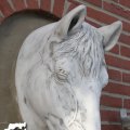 IMG_737521a
