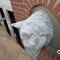 IMG_737522