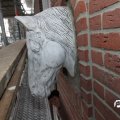 IMG_737523