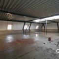 IMG_737533