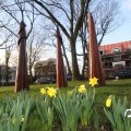 IMG_737634a