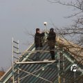 IMG_737856