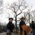 IMG_748530