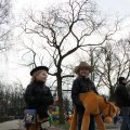IMG_748531