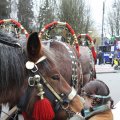 IMG_748694