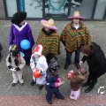 IMG_748813