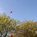 IMG_749876