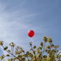 IMG_749877