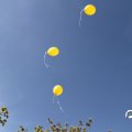 IMG_749890
