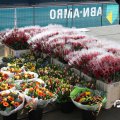 IMG_752398