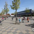 IMG_755232