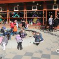 IMG_755261