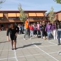 IMG_755336