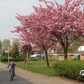 IMG_756425