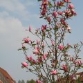 IMG_756438