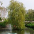 IMG_756442