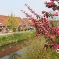 IMG_756443