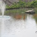 IMG_756444