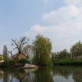 IMG_756450