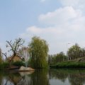 IMG_756453