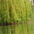 IMG_756455