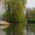 IMG_756456