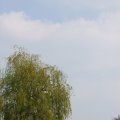 IMG_756457