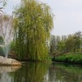 IMG_756458