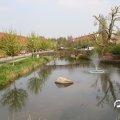 IMG_756459