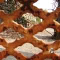 IMG_756492