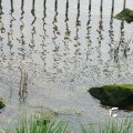 IMG_756505