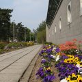 IMG_756513