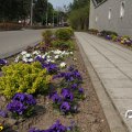 IMG_756516