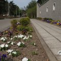 IMG_756517