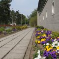 IMG_756518
