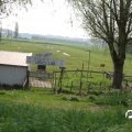 IMG_756524